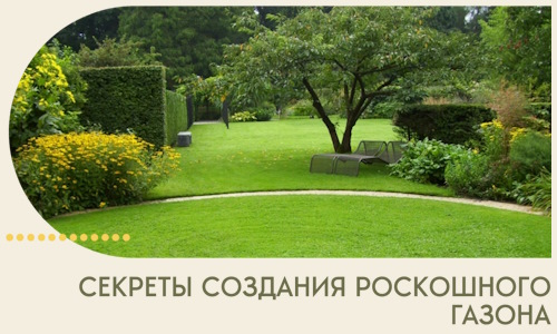 Секреты создания роскошного газона в Йошкаре-Ола